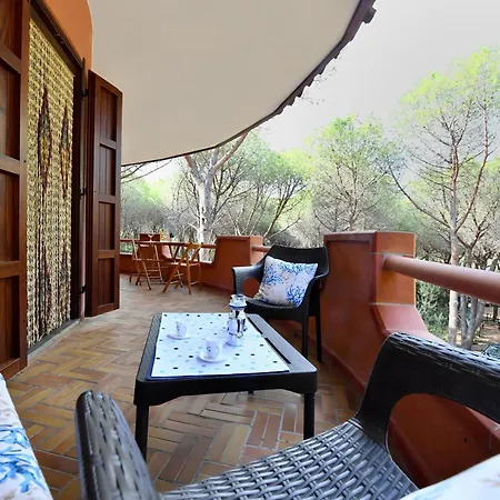 Casa Elisa 公寓 萨尔奇图库列里