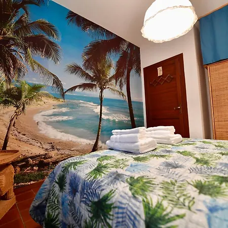 公寓 Casa Elisa 萨尔奇图库列里