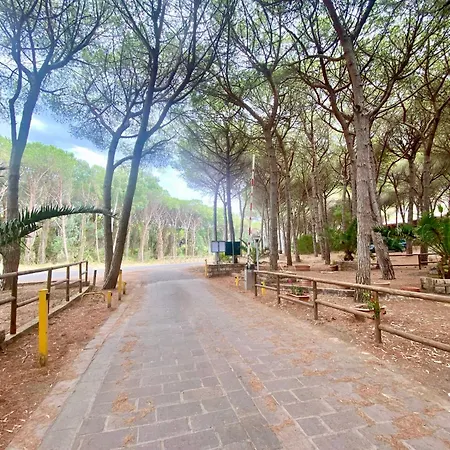 Casa Elisa * サルキットゥ・クーリエリ